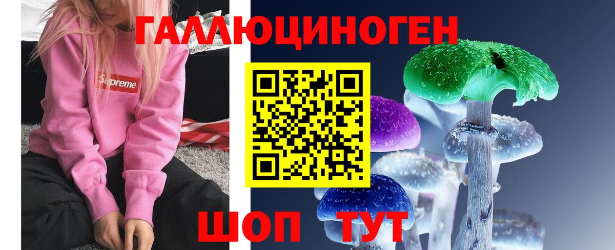 Псилоцибиновые грибы Psilocybine cubensis Усинск