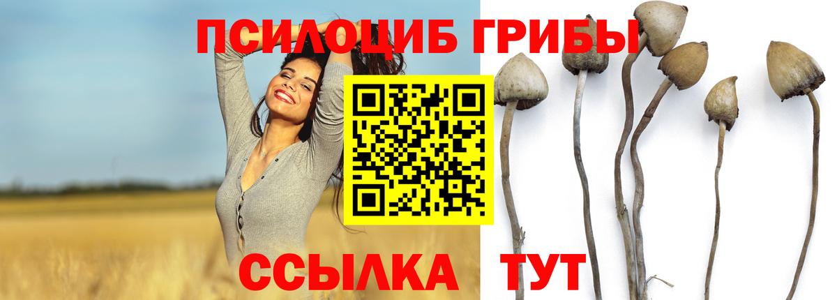 Усинск  Псилоцибиновые грибы ЛСД  Вход с VPN 